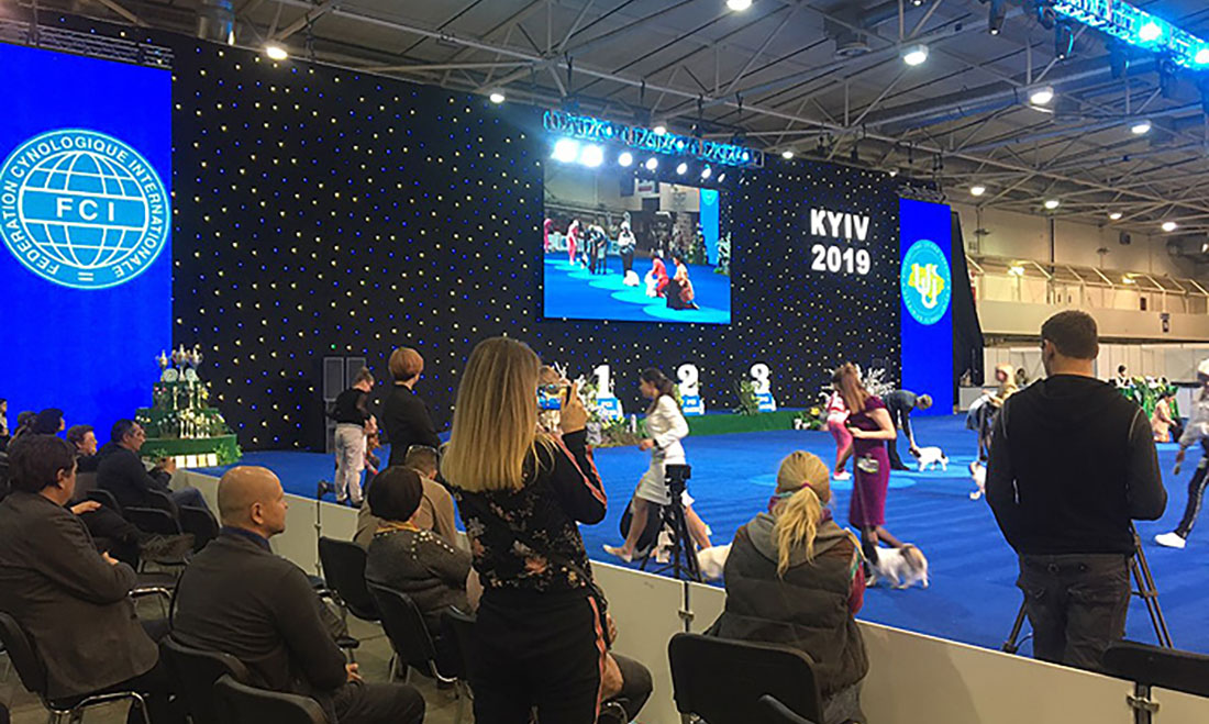 Міжнародна виставка собак усіх порід, «Золоті Ворота – 2019» та «Україна – 2019», МВЦ, Київ