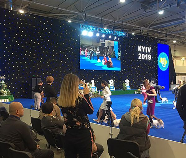 Международная выставка собак всех пород , «Золоті Ворота - 2019» и «Україна - 2019», МВЦ, Киев