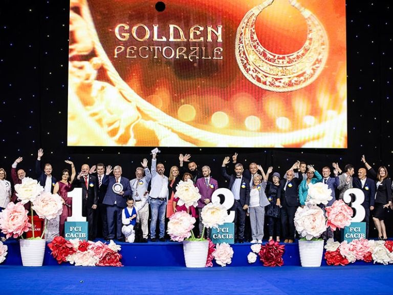Exhibition &quot;Golden Gate - 2021&quot;, &quot;Ukraine - 2021&quot;, &quot;Gold Pectoral - 2021&quot;, IEC, Kyiv