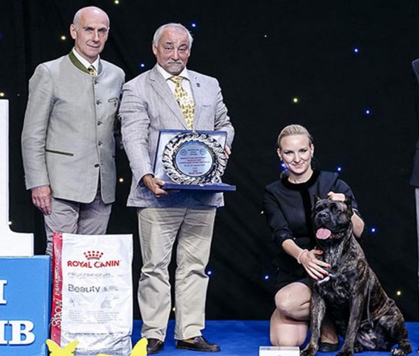 Выставка собак  Кубок Европы 2019, МВЦ, Киев