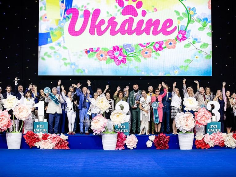 Выставка &quot;Золотые ворота - 2021&quot;, &quot;Украина - 2021&quot;, &quot;Золота пектораль - 2021&quot;, МВЦ, Киев