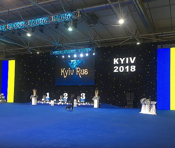 Выставка собак «Киевская Русь – 2018» и «Хрустальный Кубок Украины – 2018», МВЦ, Киев
