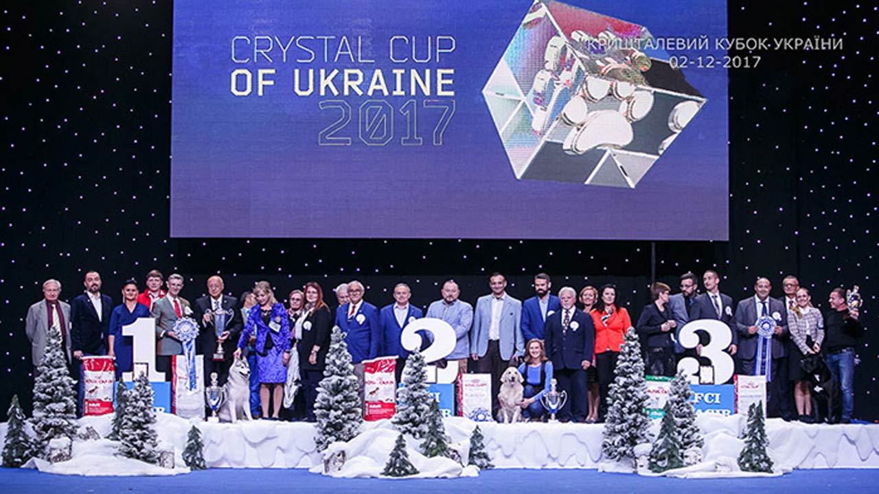 Международная выставка собак Cristal Cub of Ukrain 2017 и Kyiv Pus, МВЦ, Киев