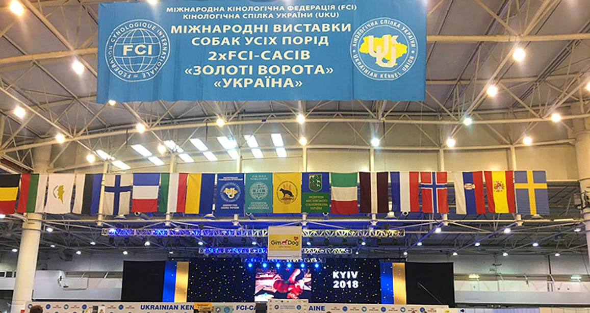 International Dog Show FCI-CACIB &quot;Golden Gate-2018&quot; and &quot;Ukraine-2018&quot;, IEC, Kyiv