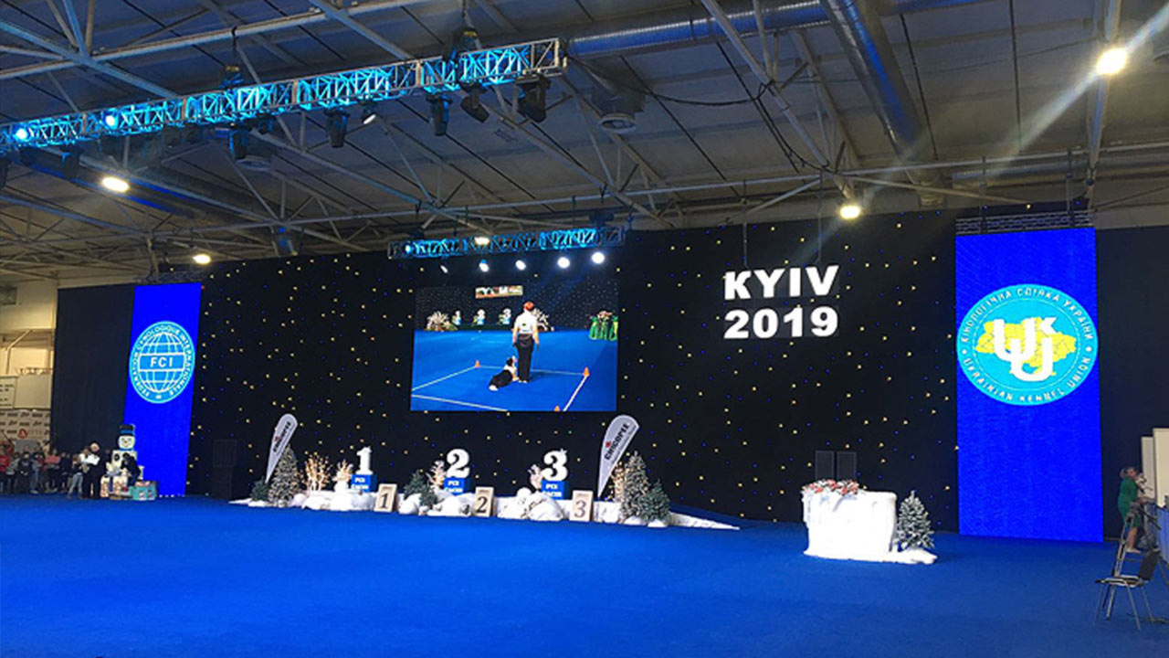 Выставка FCI-CACIB "Киевская Русь 2019" и "Хрустальный Кубок Украины", МВЦ, Киев Выставка FCI-CACIB "Киевская Русь 2019" и "Хрустальный Кубок Украины", МВЦ, Киев