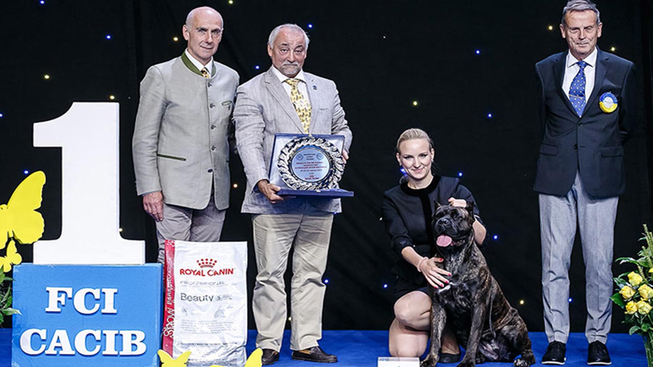 Dog show European Cup 2019, IEC, Kyiv