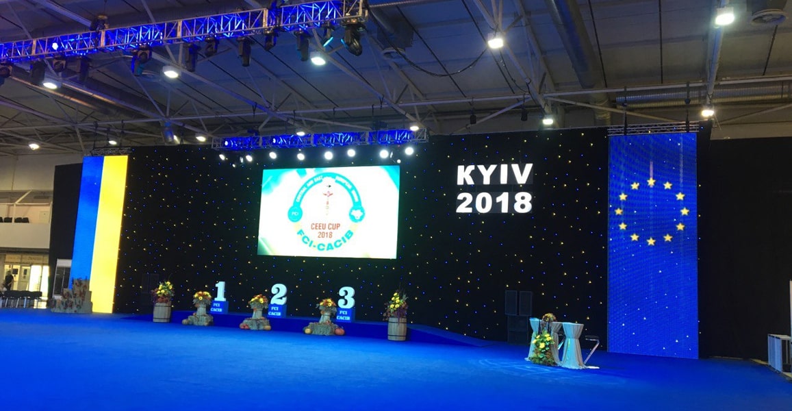 Dog shows of all breeds FCI-CACIB, IEC, Kyiv