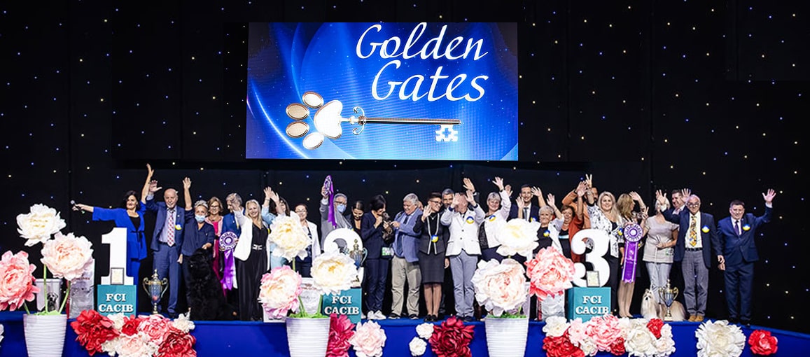Exhibition "Golden Gate - 2021", "Ukraine - 2021", "Gold Pectoral - 2021", IEC, Kyiv Exhibition "Golden Gate - 2021", "Ukraine - 2021", "Gold Pectoral - 2021", IEC, Kyiv