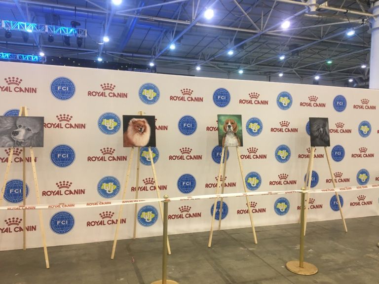 Dog show Kyiv Rus - 2018 and Crystal Cup of Ukraine - 2018, IEC, Kyiv