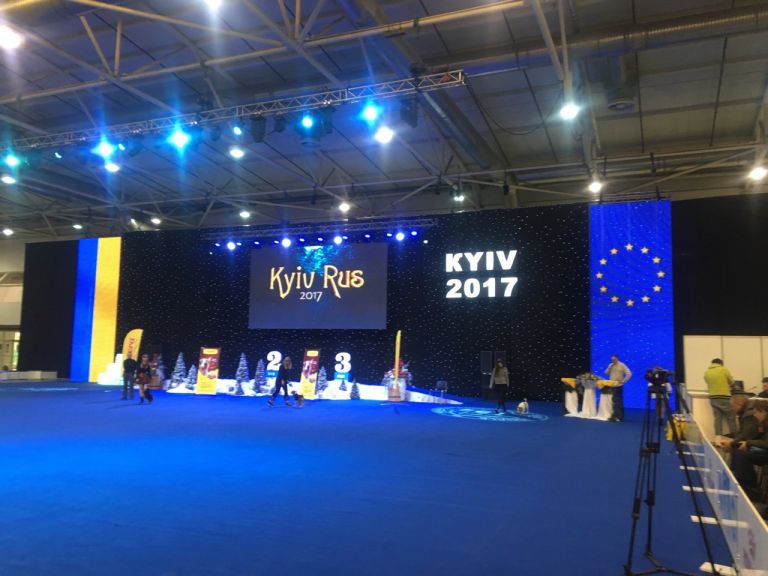 International Dog Show Crystal Cub of Ukraine 2017 and Kiev Pus, IEC, Kyiv