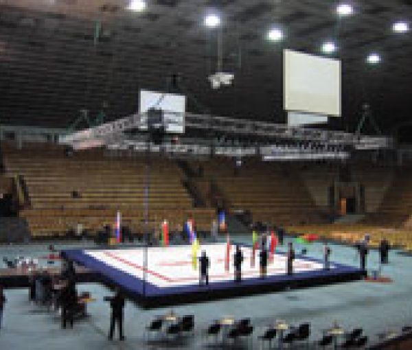 Чемпионат мира по Фри-файту