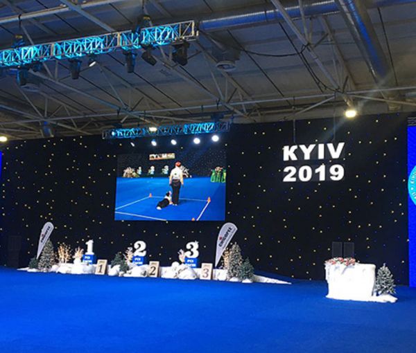 Виставка FCI-CACIB "Київська Русь 2019" та "Кришталевий Кубок України", МВЦ, Київ