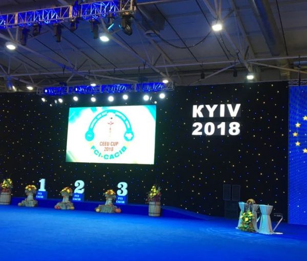 Dog shows of all breeds FCI-CACIB, IEC, Kyiv