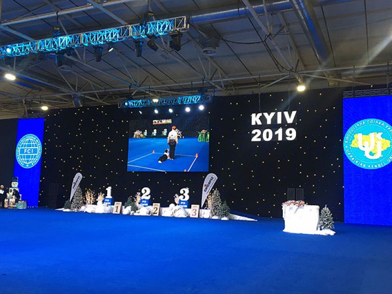Выставка FCI-CACIB &quot;Киевская Русь 2019&quot; и &quot;Хрустальный Кубок Украины&quot;, МВЦ, Киев