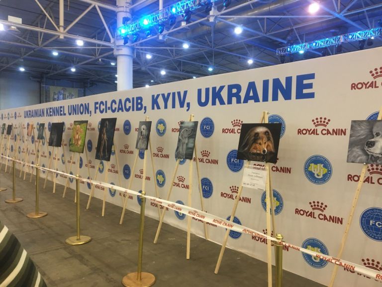 Dog show Kyiv Rus - 2018 and Crystal Cup of Ukraine - 2018, IEC, Kyiv