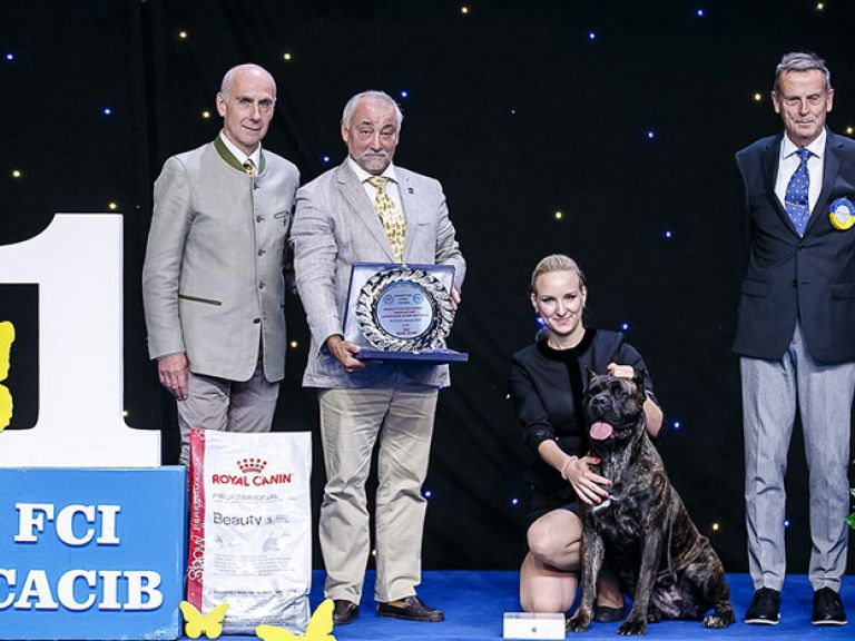 Dog show European Cup 2019, IEC, Kyiv