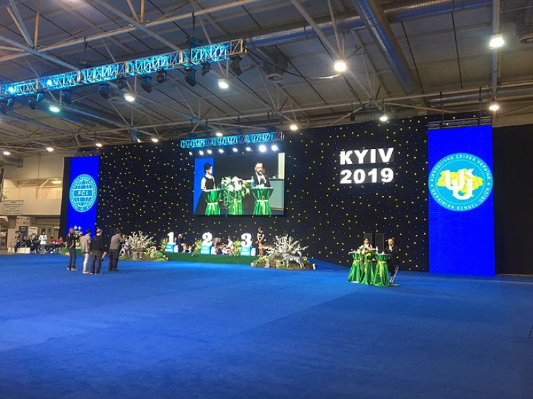 Международная выставка собак всех пород , «Золоті Ворота - 2019» и «Україна - 2019», МВЦ, Киев