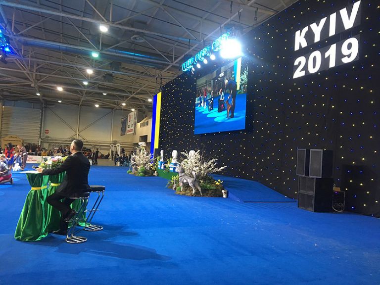 International Dog Show of all breeds, Golden Gate - 2019 and Ukraine - 2019, IEC, Kyiv