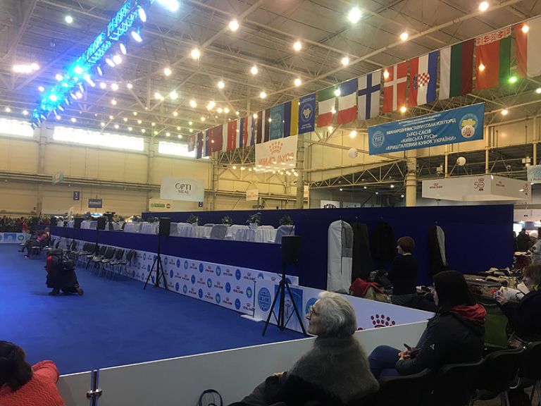 Dog show Kyiv Rus - 2018 and Crystal Cup of Ukraine - 2018, IEC, Kyiv