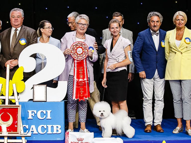Выставка собак  Кубок Европы 2019, МВЦ, Киев