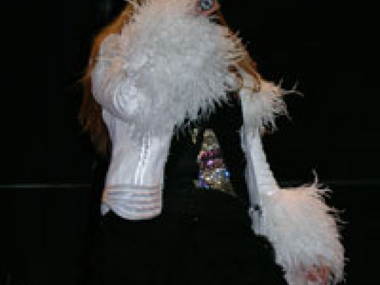 Телепроект "Шанс"