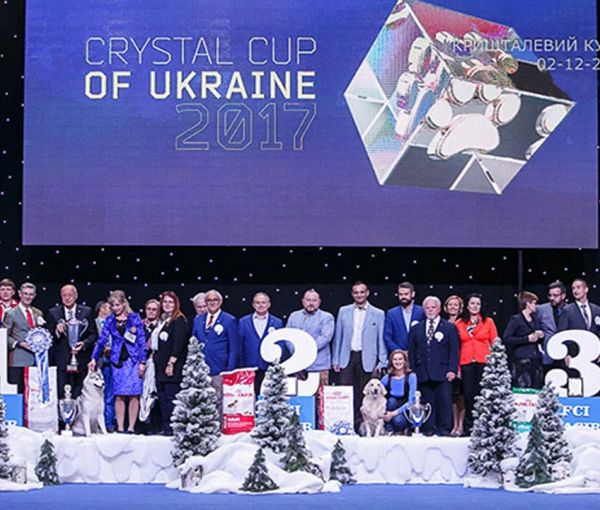 Международная выставка собак Cristal Cub of Ukrain 2017 и Kyiv Pus, МВЦ, Киев