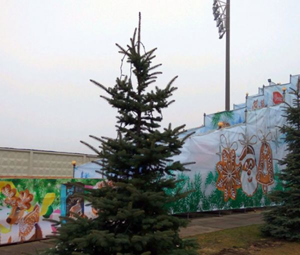 Зимний атракцион Горка, г.Буча