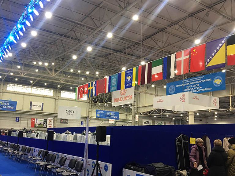 Exhibition FCI-CACIB &quot;Kyiv Rus 2019&quot; and &quot;Crystal Cup of Ukraine&quot;, IEC, Kyiv