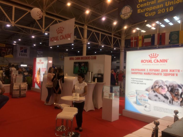 Выставки собак всех пород FCI-CACIB, МВЦ, Киев